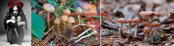 соль курить ск Каменка