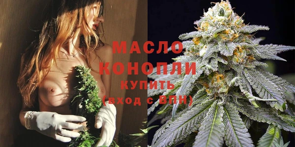 ешки Каменногорск