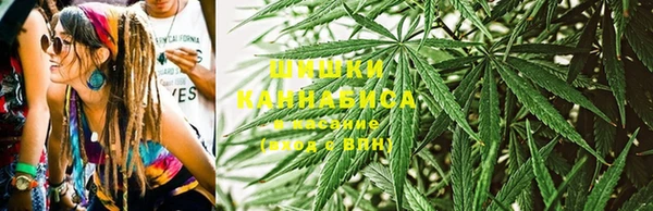 соль курить ск Каменка